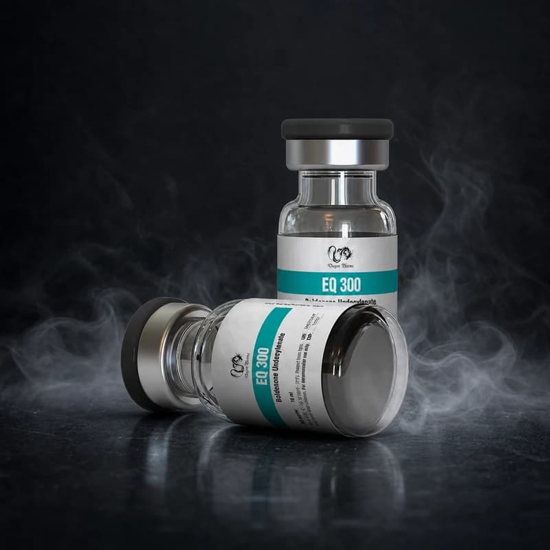 EQ 300 300mg/ml 10ml Vial von Dragon-Pharma