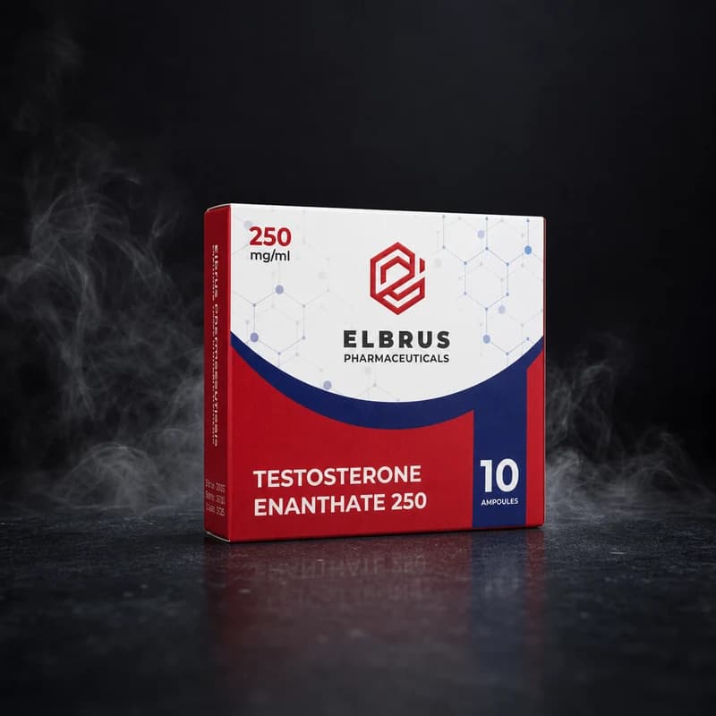 Testosterone Enanthate 250mg/ml 10x1ml Ampullen von Elbrus Pharmaceuticals